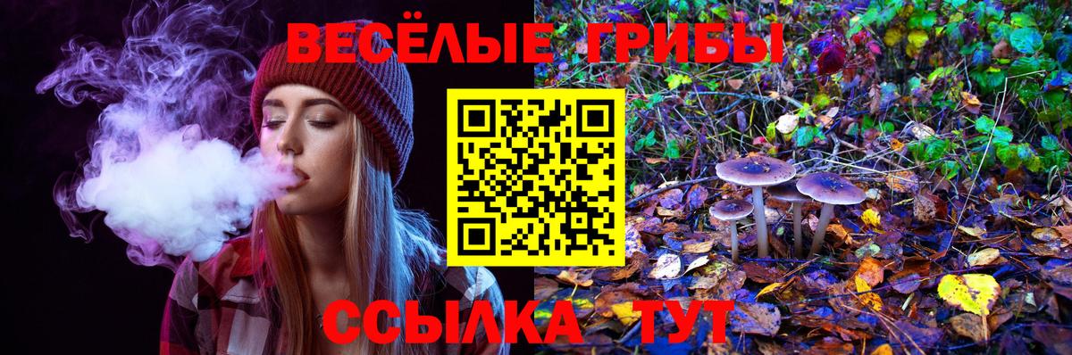 Галлюциногенные грибы прущие грибы Хабаровск