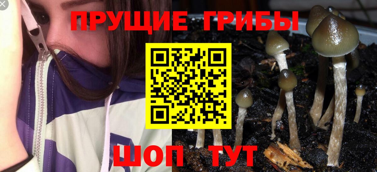 Хабаровск  как найти закладки  Вход с VPN  Псилоцибиновые грибы мухоморы 